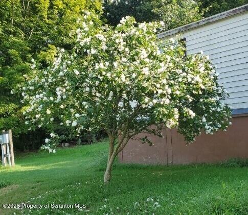5642 Mislevy Road Factoryville, PA 18419 - Photo 3 of 12 a view of a tree with a tree