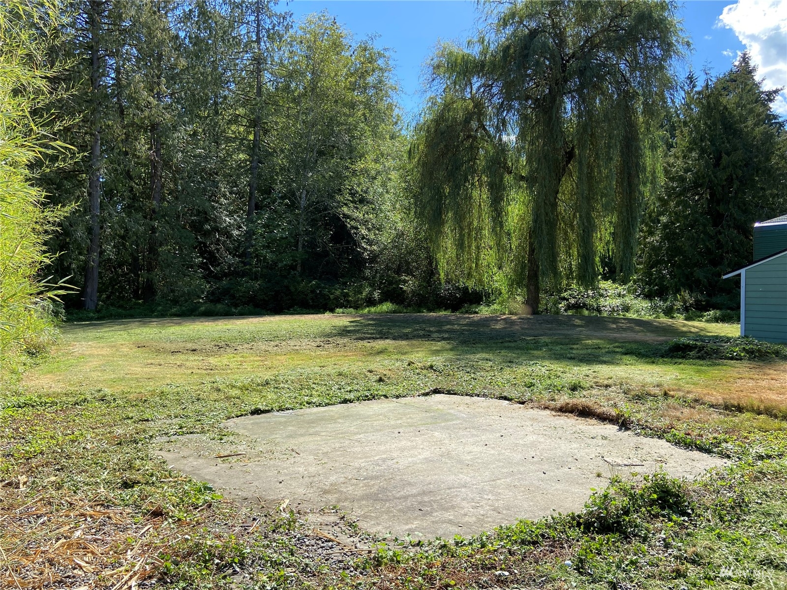 4191 Kitsap Lake Road Northwest Bremerton, WA 98312 - Photo 14 of 17 a view of a yard with palm trees