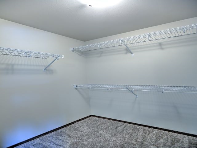 10423 West Salmonberry Road Cheney, WA 99004 - Photo 19 of 26