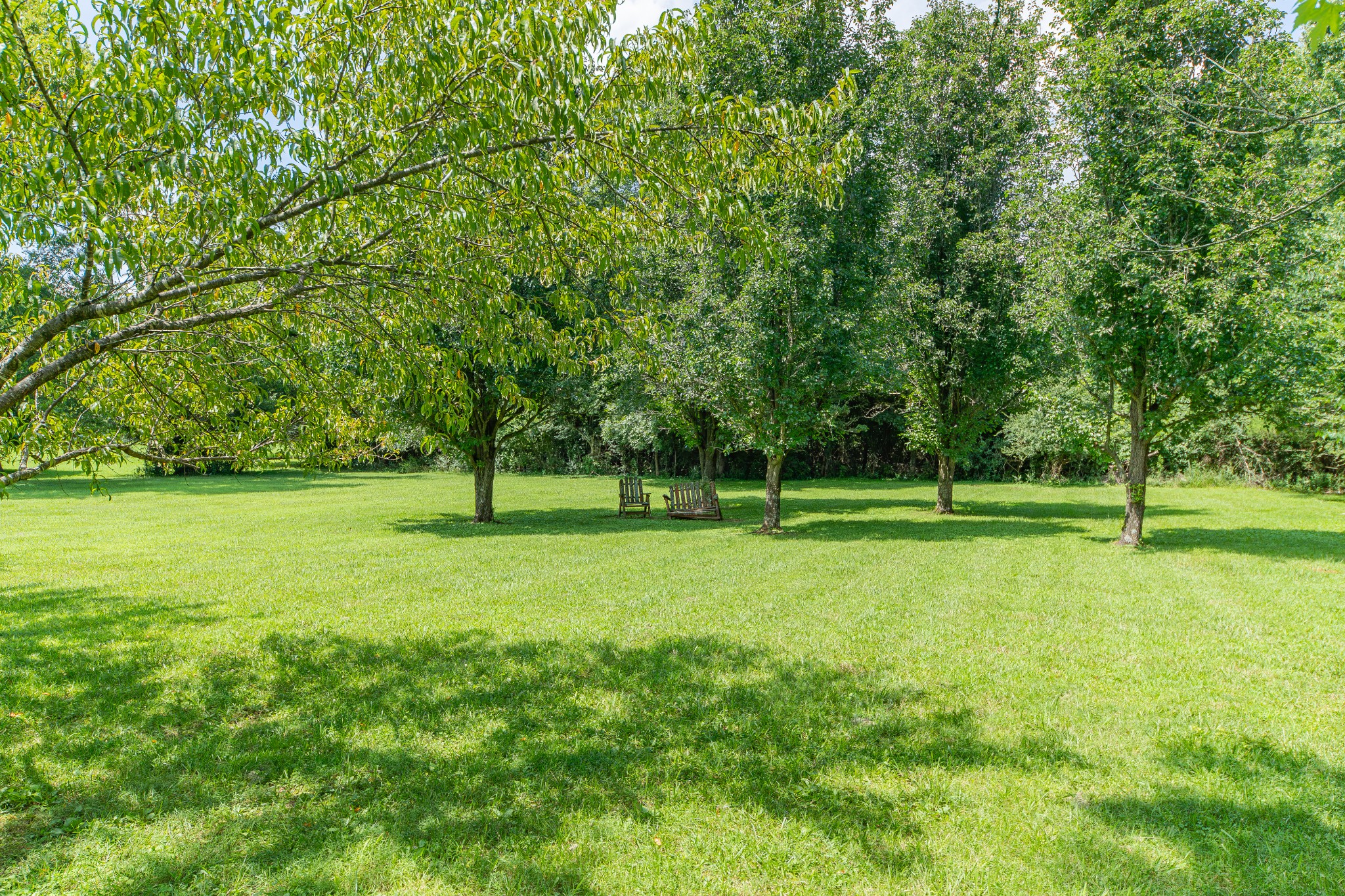 330 Holly Grove Road Lewisburg, TN 37091 - Photo 49 of 84