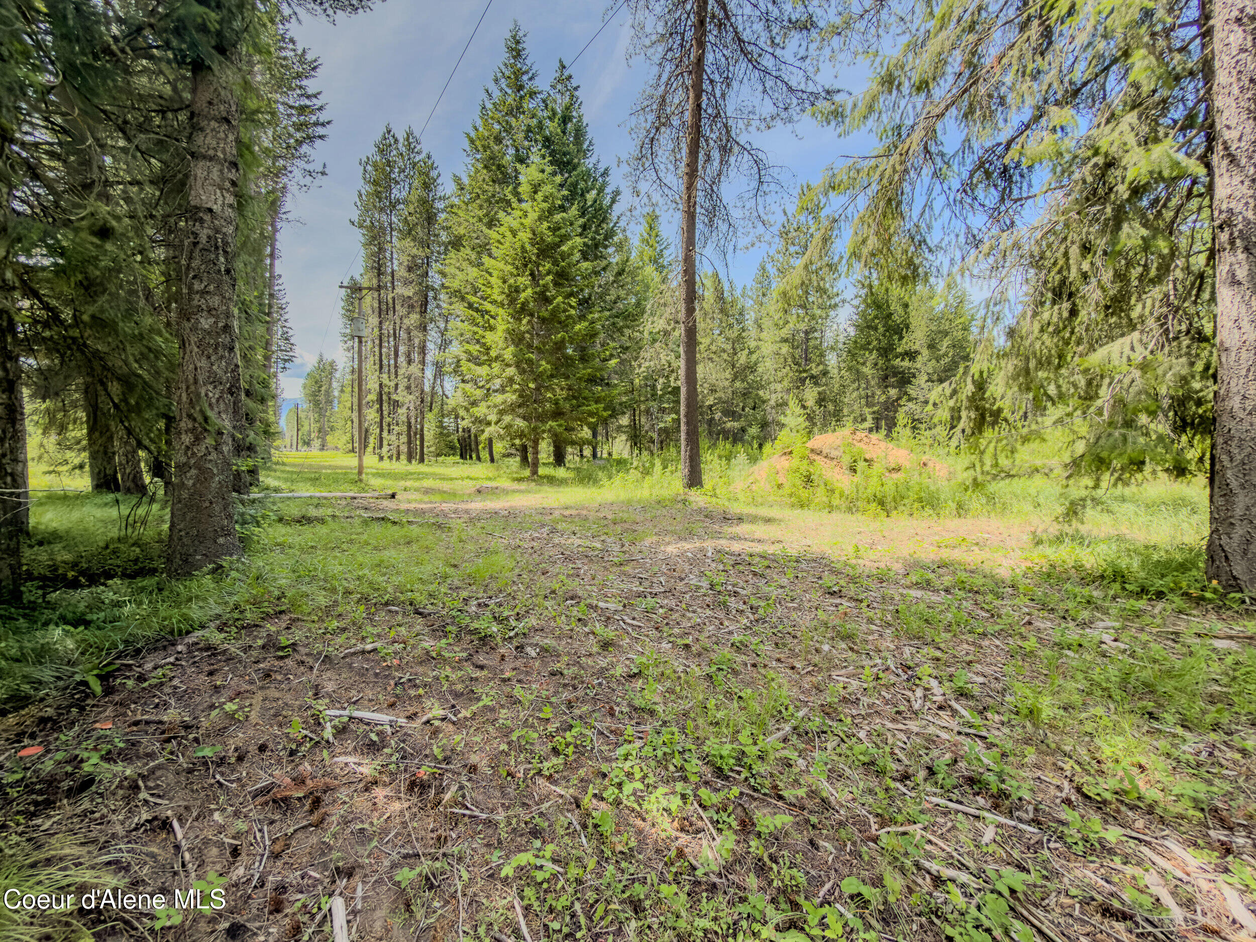 321 Winterton Road Sandpoint, ID 83864 - Photo 19 of 24 24_img_4811