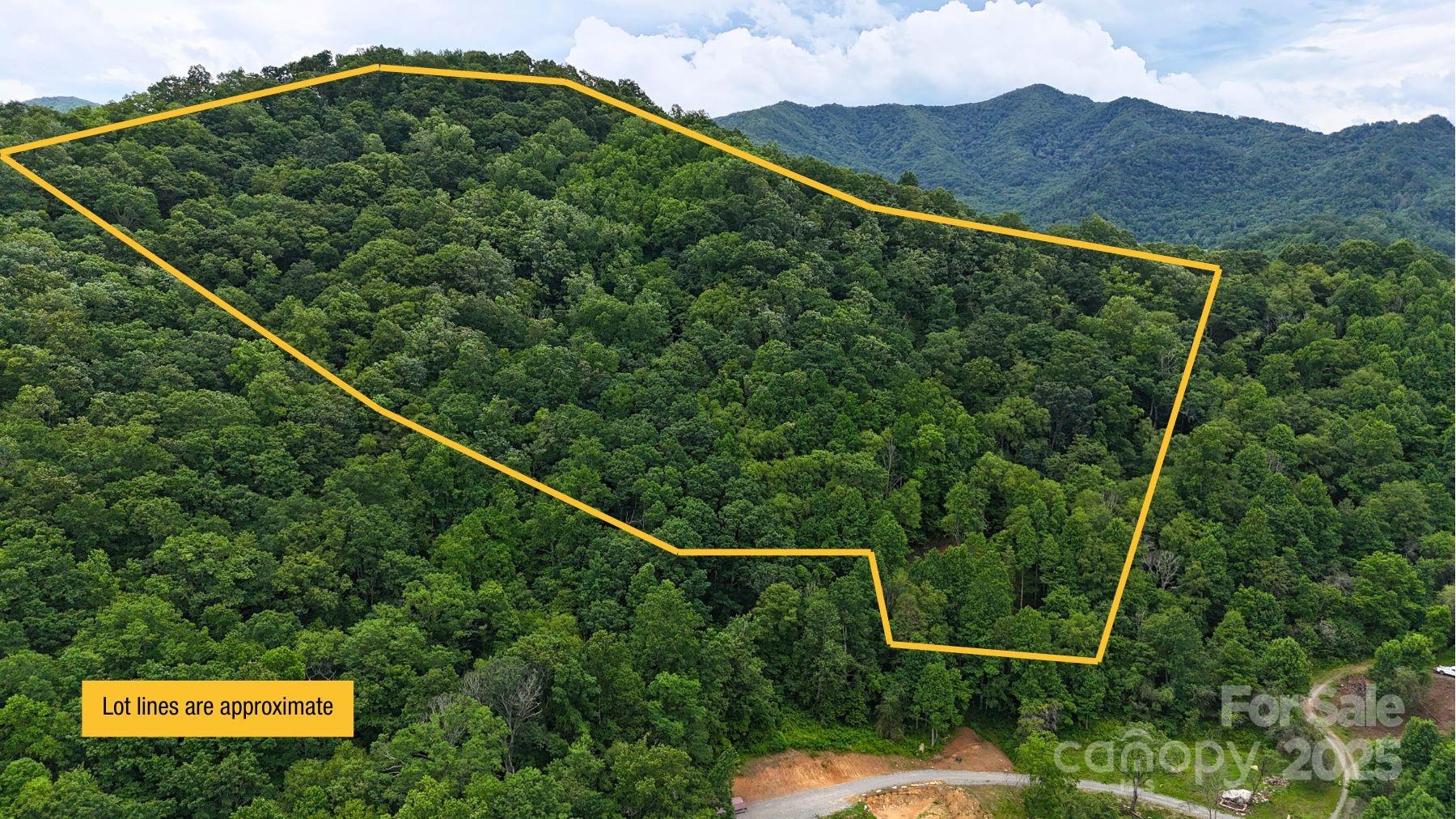 0 Wayward Cove, Unit 18 Clyde, NC 28721 - Photo 2 of 12