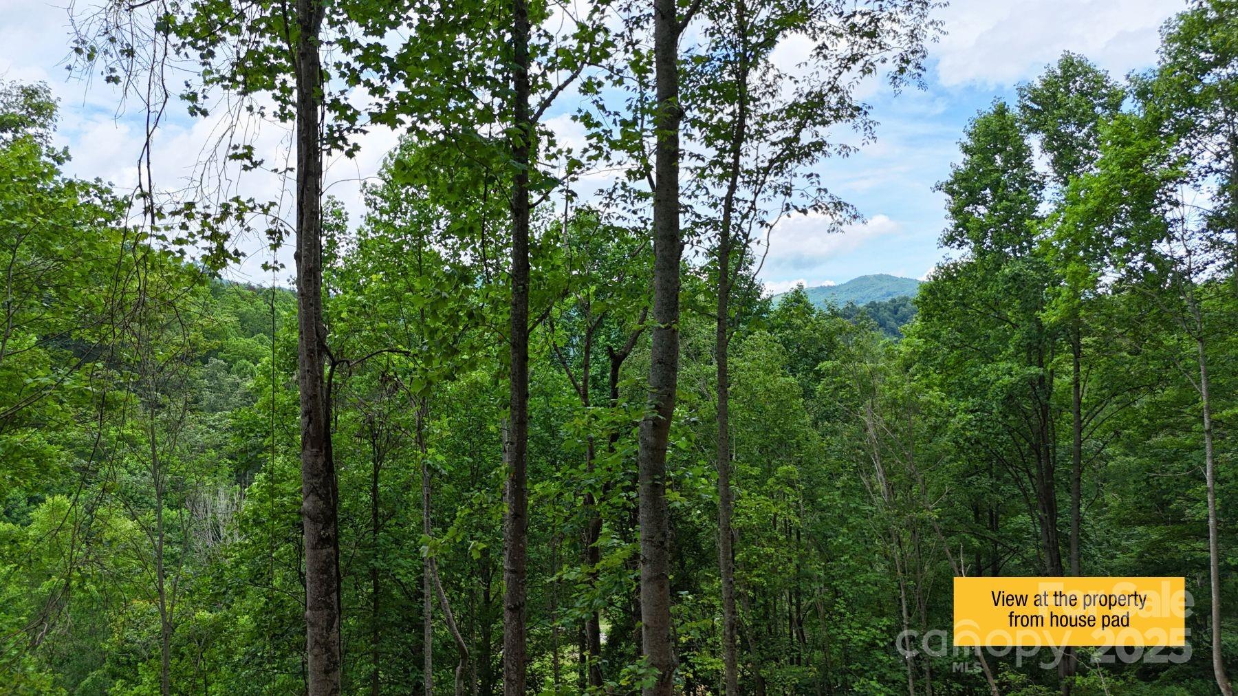 0 Wayward Cove, Unit 18 Clyde, NC 28721 - Photo 3 of 12