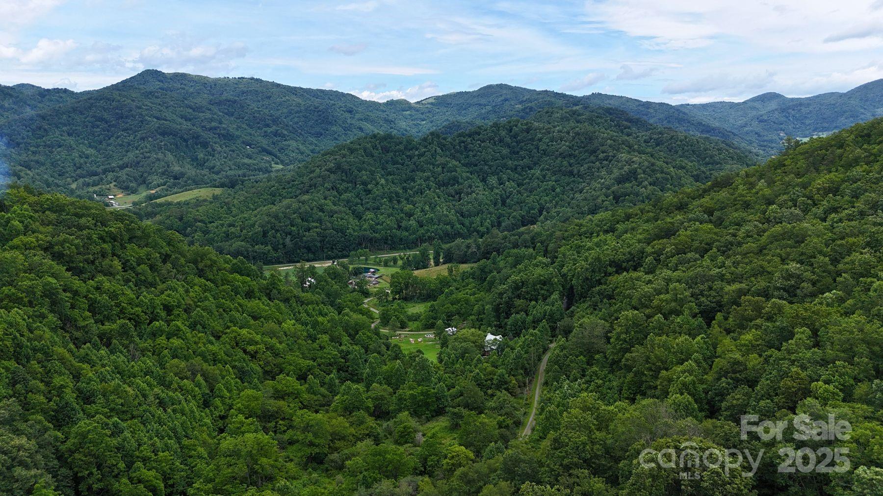 0 Wayward Cove, Unit 18 Clyde, NC 28721 - Photo 8 of 12