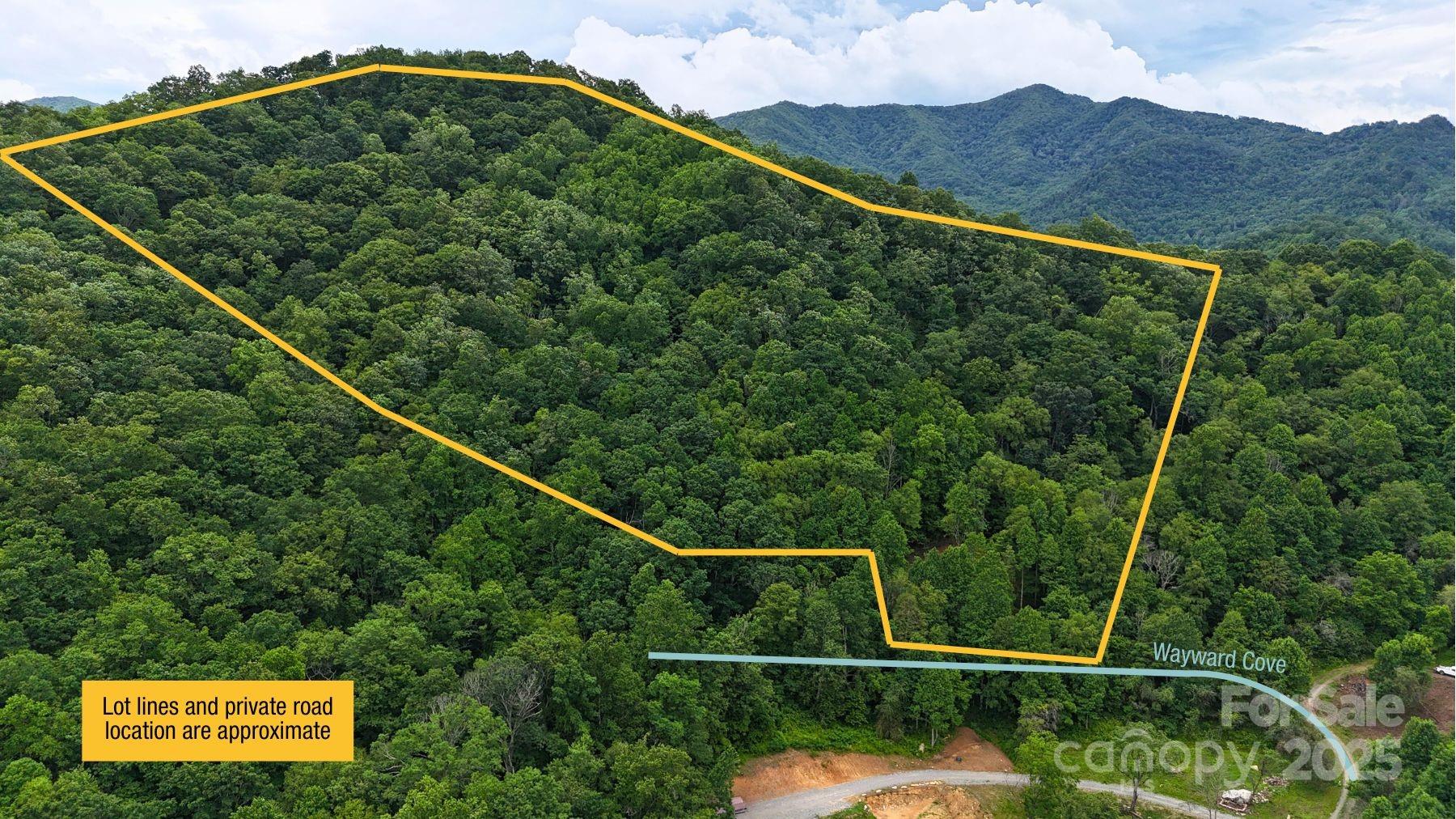 0 Wayward Cove, Unit 18 Clyde, NC 28721 - Photo 9 of 12