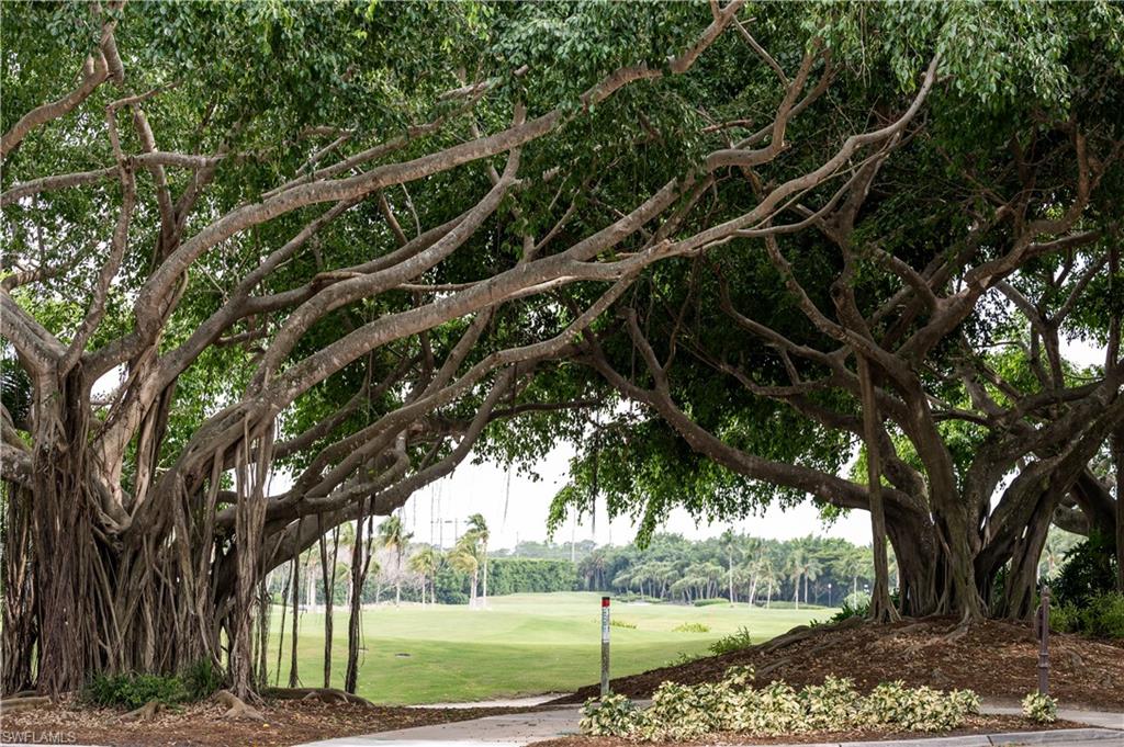 2087 Rivoli Court Naples, FL 34105 - Photo 24 of 37 a view of a yard with a tree