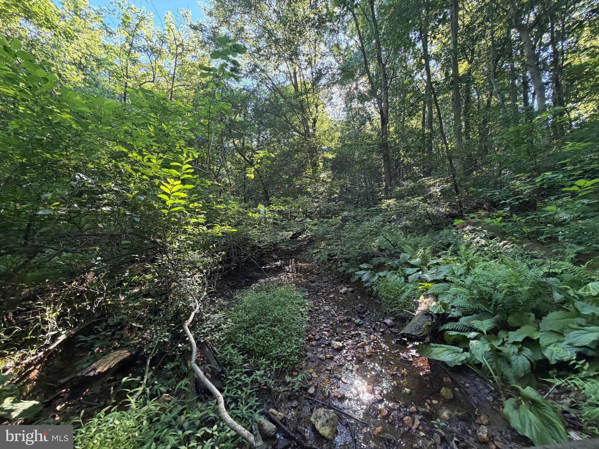 0 Rock Springs Road Conowingo, MD 21918 - Photo 78 of 79