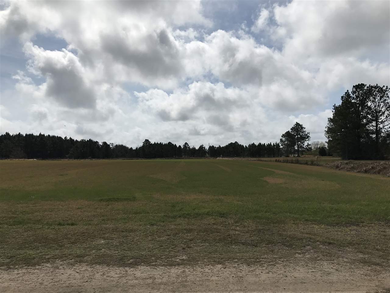 0 Singleton Lane Elberta, AL 36530 - Photo 4 of 5 Facing Southwest