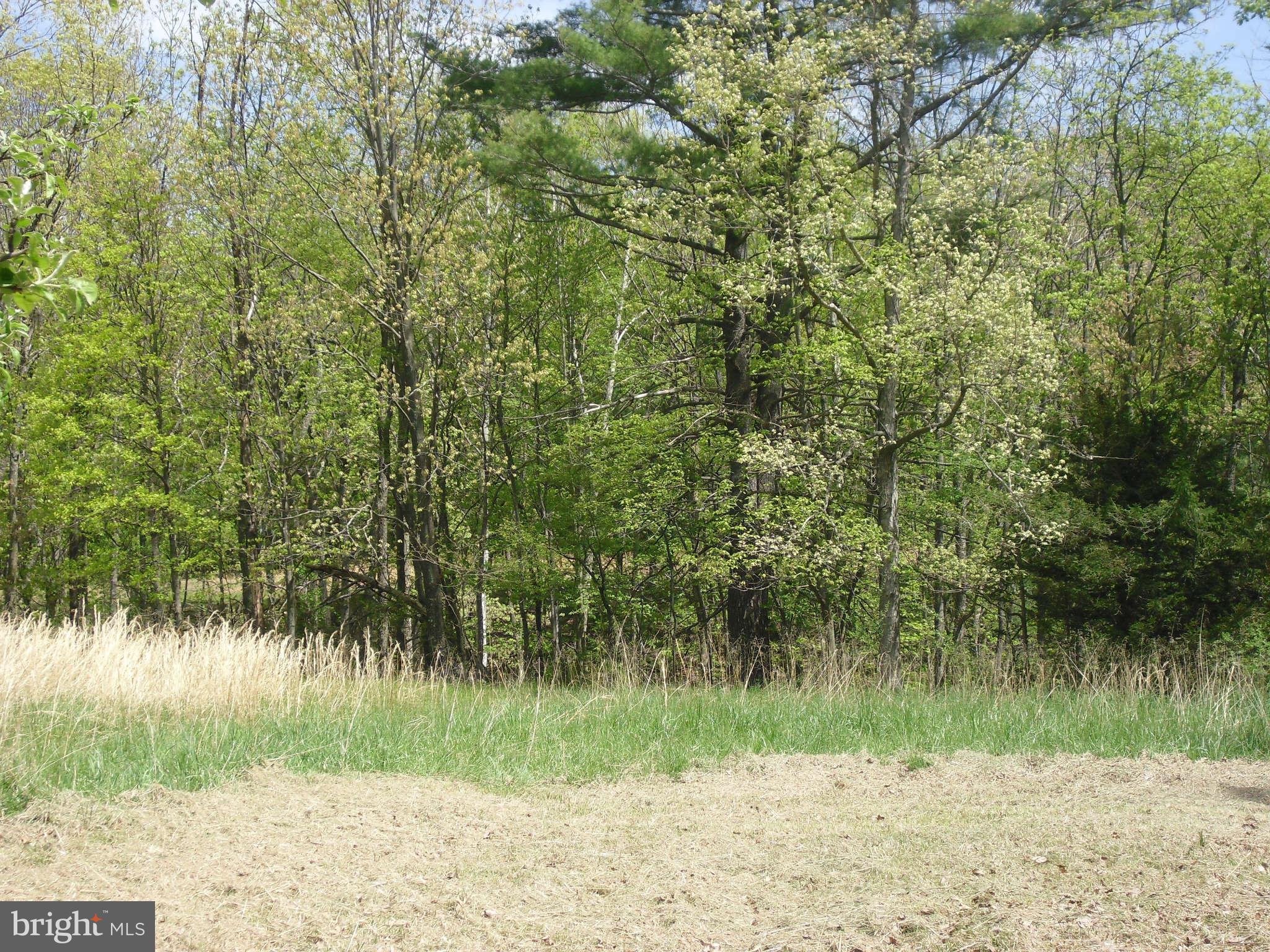 0 Valley Road Berkeley Springs, WV 25411 - Photo 15 of 30 View