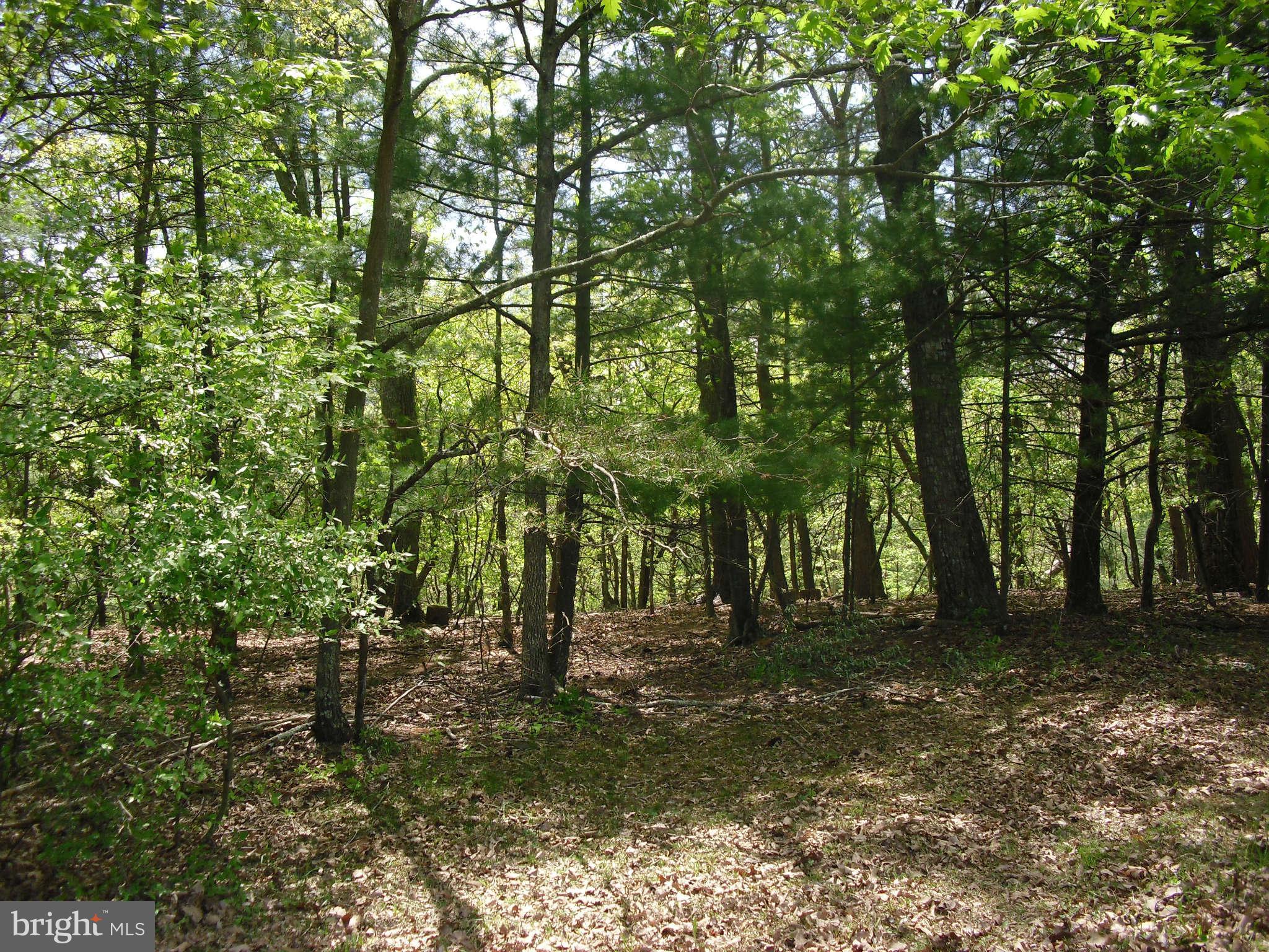 0 Valley Road Berkeley Springs, WV 25411 - Photo 16 of 30 View