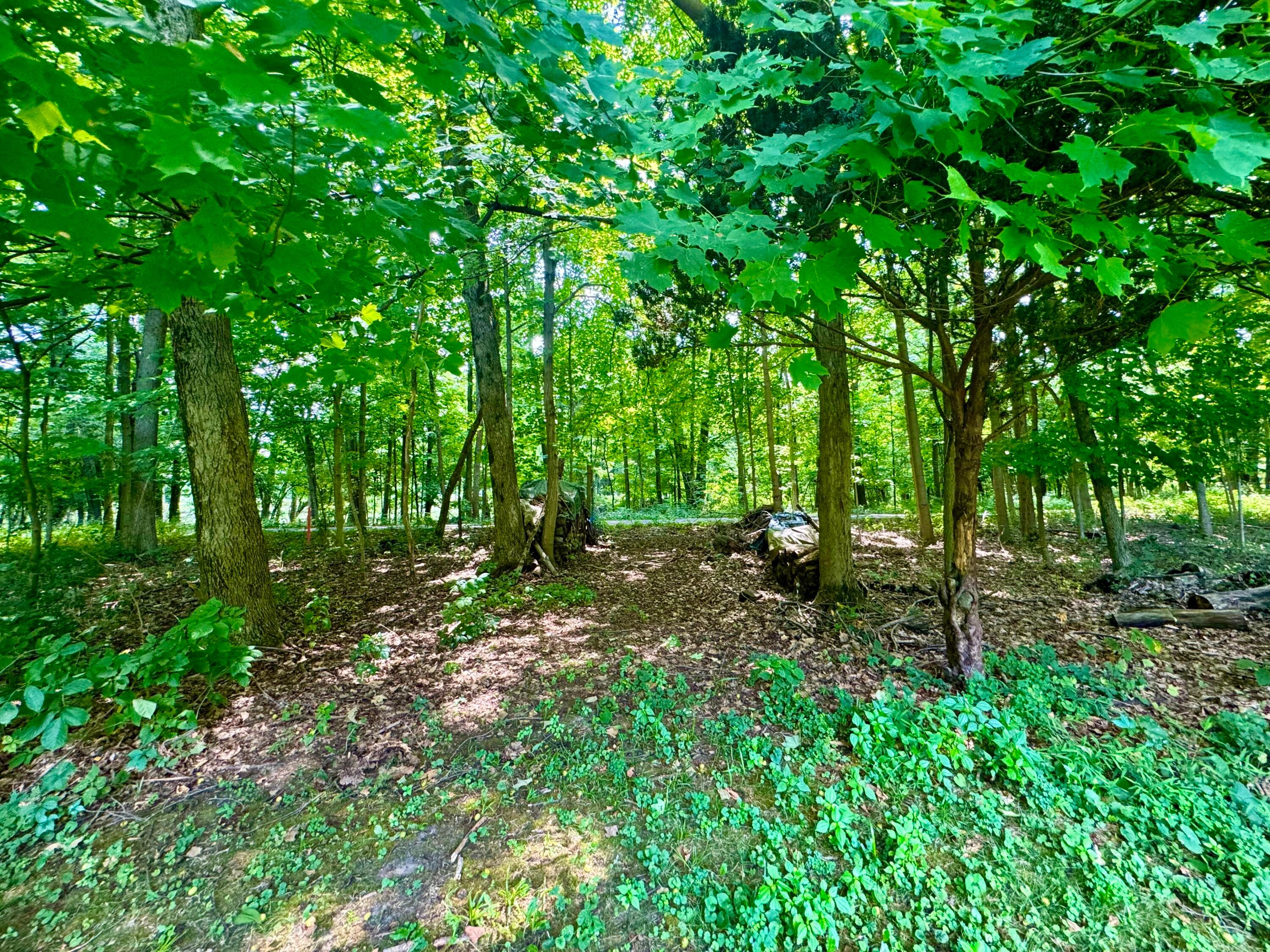 12120 Hartford Road Sunbury, OH 43074 - Photo 6 of 26 Rear yard with path to bike trail