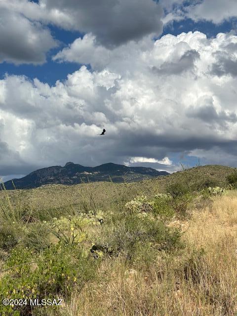 8167 South Pistol Hill Road Vail, AZ 85641 - Photo 7 of 36