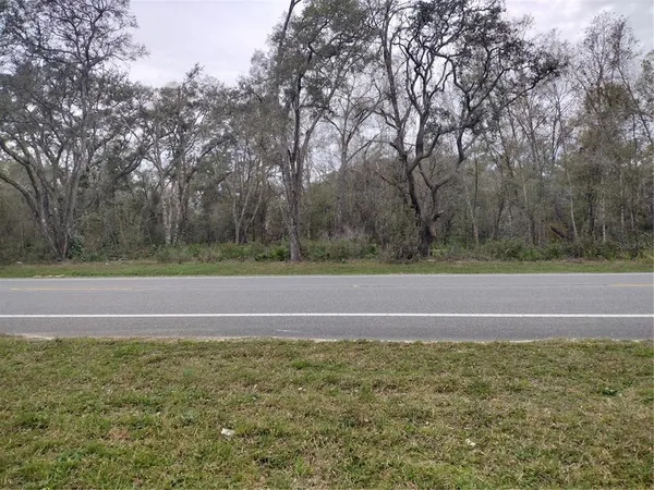$120,000 | Treiman Boulevard, Webster, FL 33597