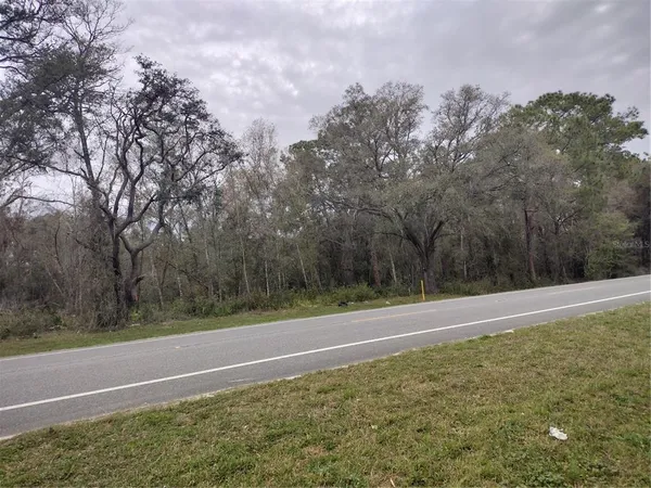$120,000 | Treiman Boulevard, Webster, FL 33597