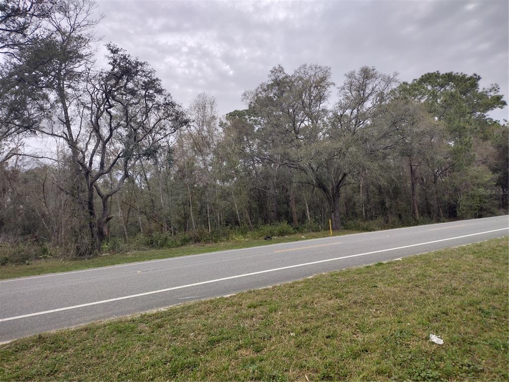 Treiman Boulevard Webster, FL 33597 - Photo 3 of 4