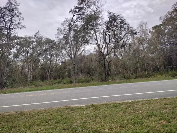 $120,000 | Treiman Boulevard, Webster, FL 33597