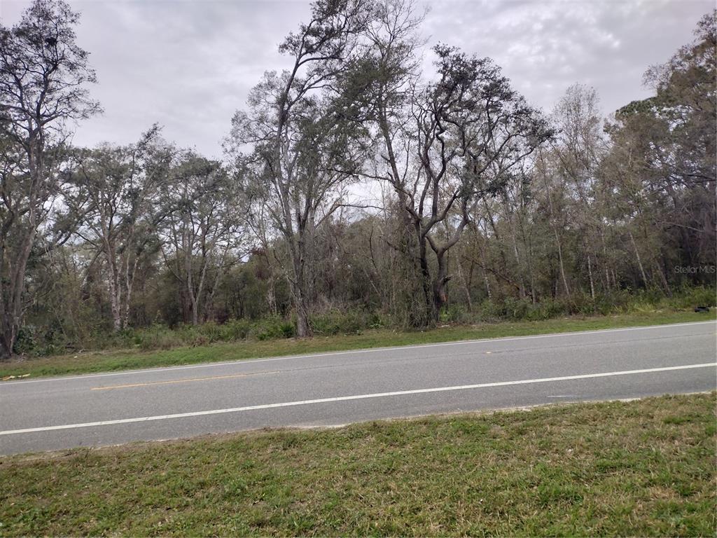 Treiman Boulevard Webster, FL 33597 - Photo 4 of 4