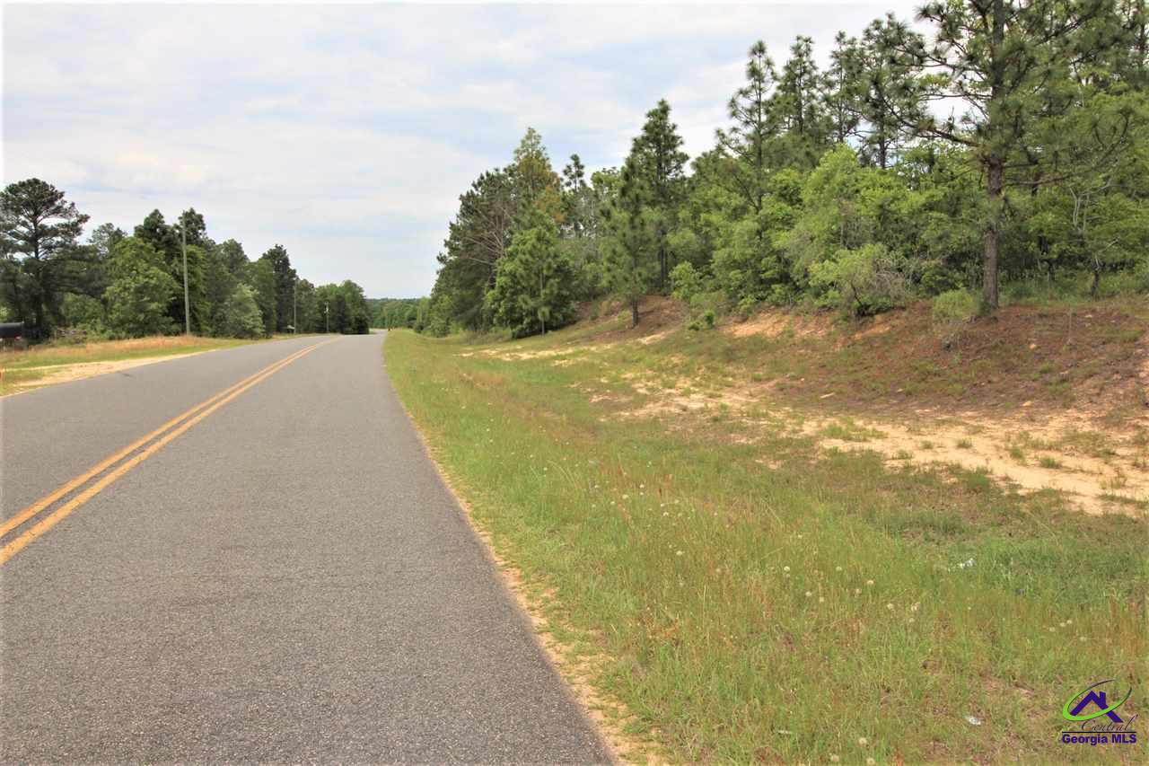 0 Pineknot Road Box Springs, GA 31801 - Photo 2 of 12