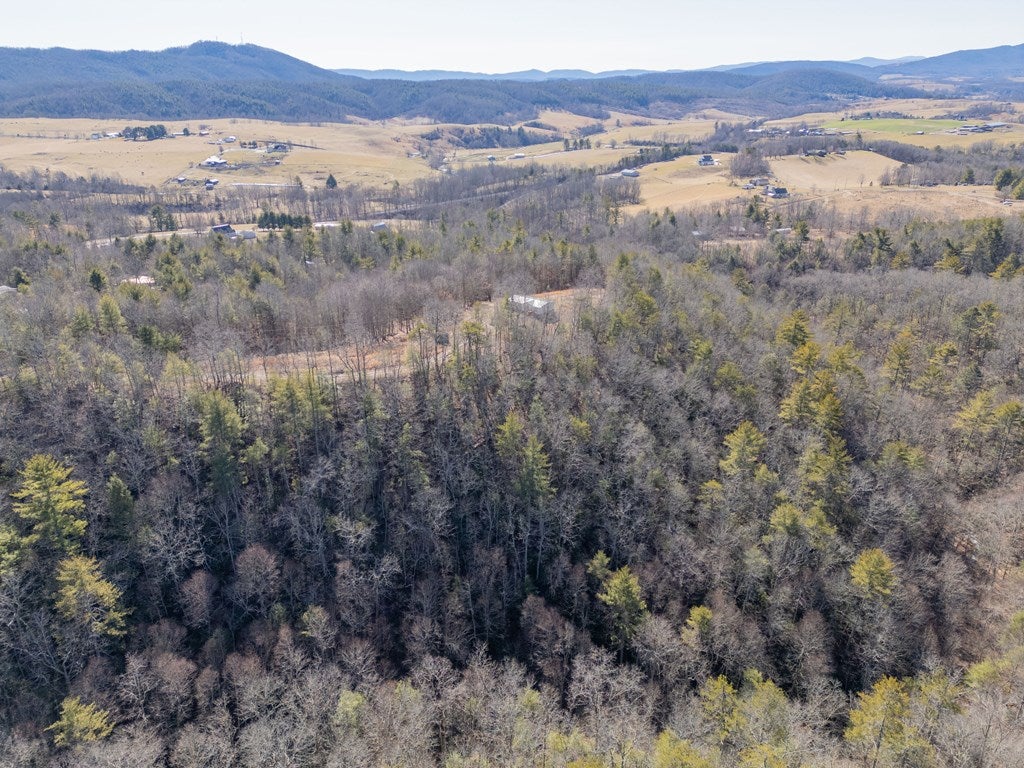 485 Grouse Ridge Road Max Meadows, VA 24360 - Photo 64 of 76 Gallery Image 64