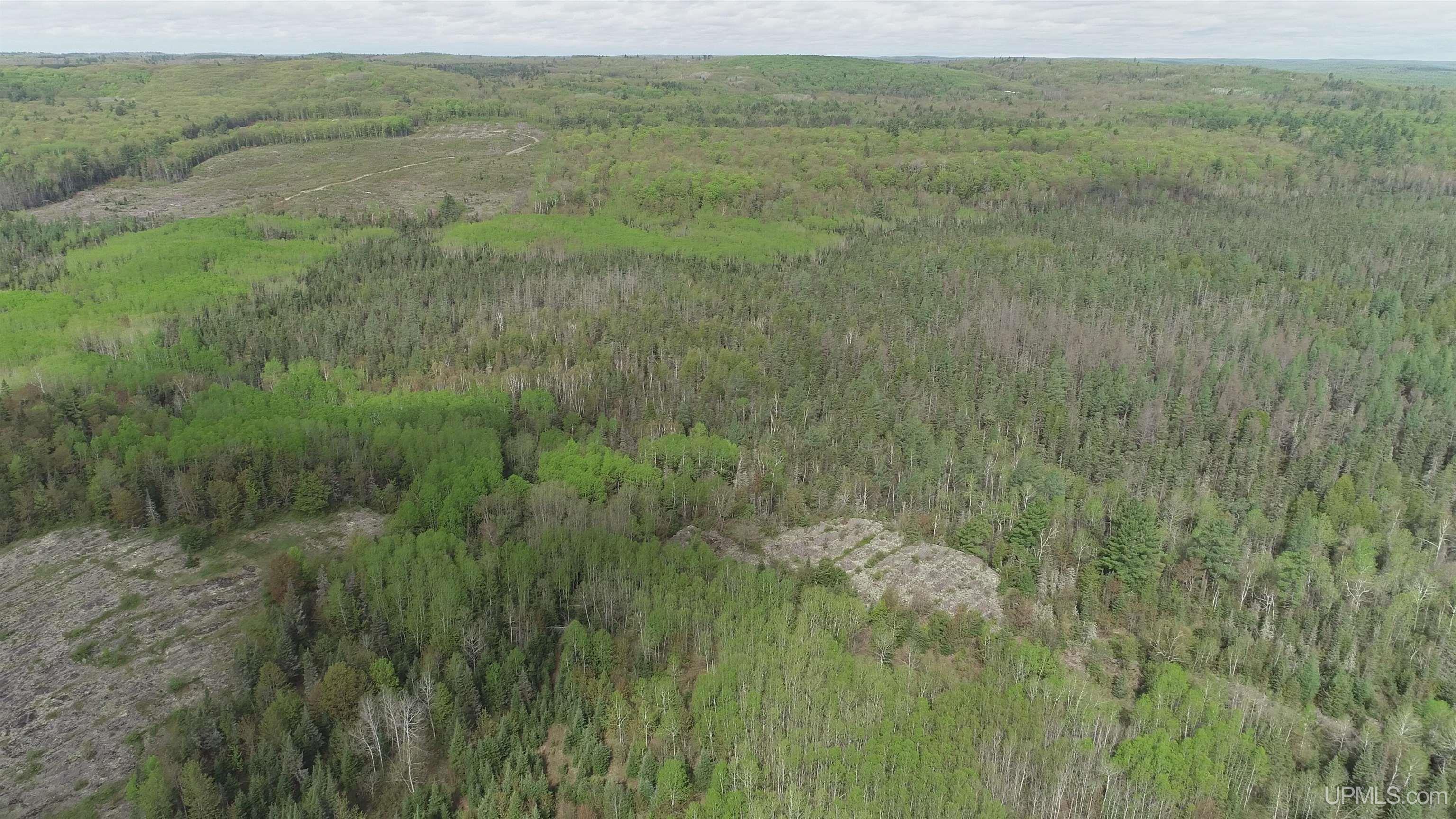 280-acres County Road CCN Road Negaunee, MI 49866 - Photo 30 of 48
