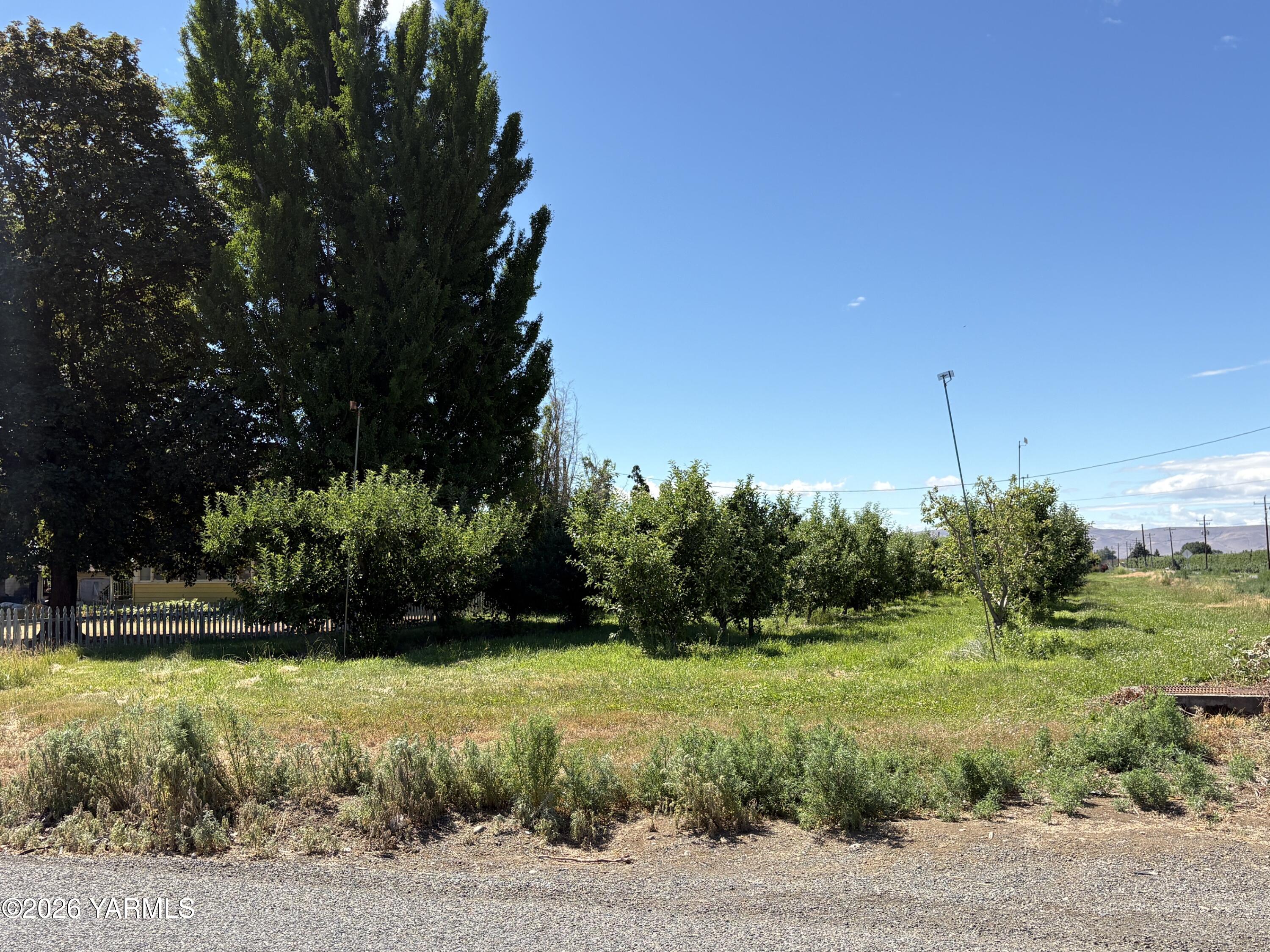 2870 Progressive Road Wapato, WA 98951 - Photo 29 of 32 Apple Orchard