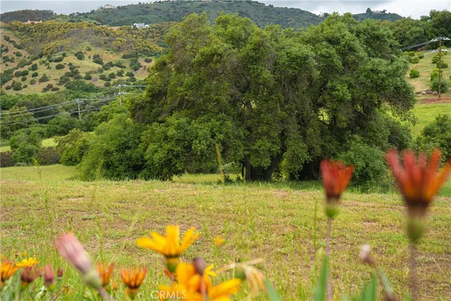 a view of a lake with a yard