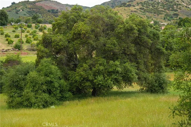 a view of a lake with a mountain