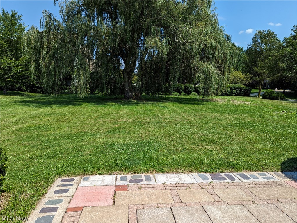 7003 Som Center Road Solon, OH 44139 - Photo 23 of 24 Rear Yard