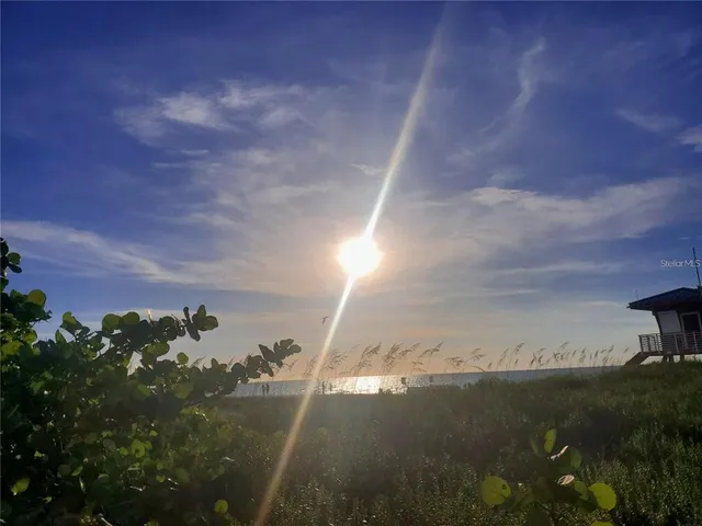 a view of a city street from a yard