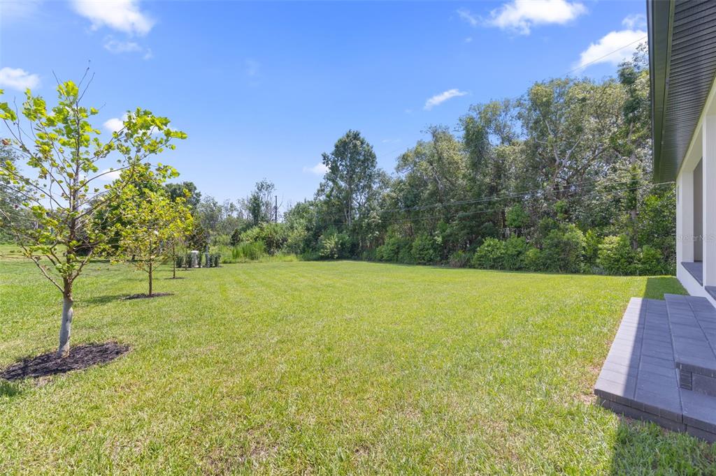 1336 Hays Road Tarpon Springs, FL 34689 - Photo 71 of 75