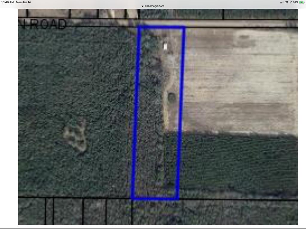 1588 Melton Road Gordon, AL 36343 - Photo 1 of 1