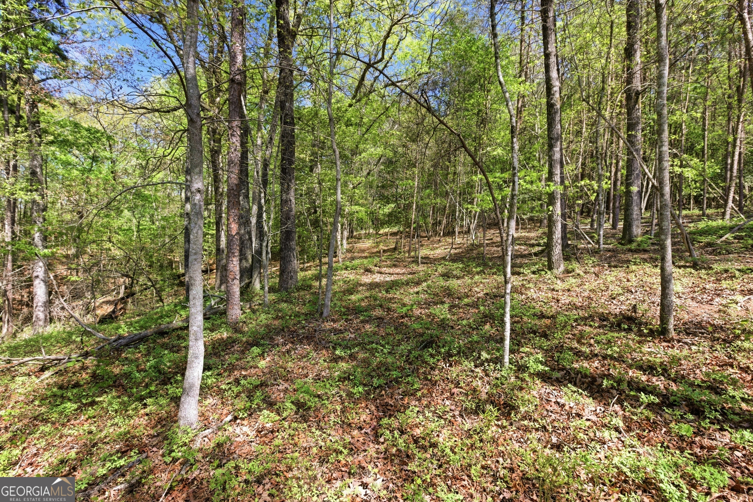 1655 Pardue Mill Road Demorest, GA 30535 - Photo 50 of 67