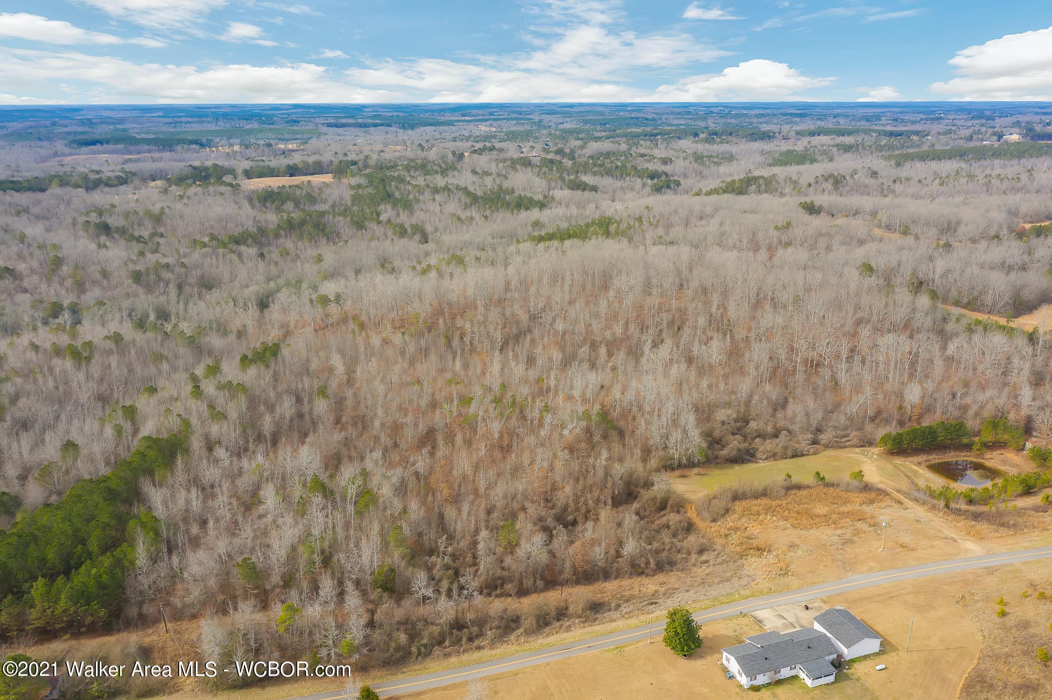 Howell Road Hamilton, AL 35570 - Photo 3 of 10 Gallery Image 3