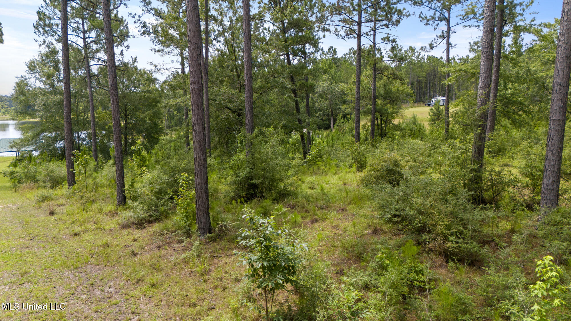 Burnt Pine Road Leakesville, MS 39451 - Photo 12 of 17 Lake property