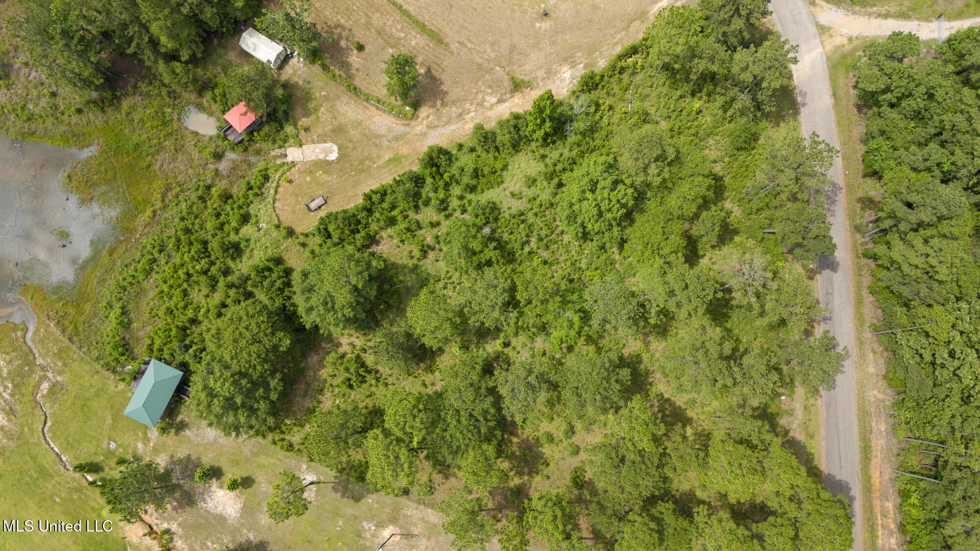 Burnt Pine Road Leakesville, MS 39451 - Photo 15 of 17 Lake property
