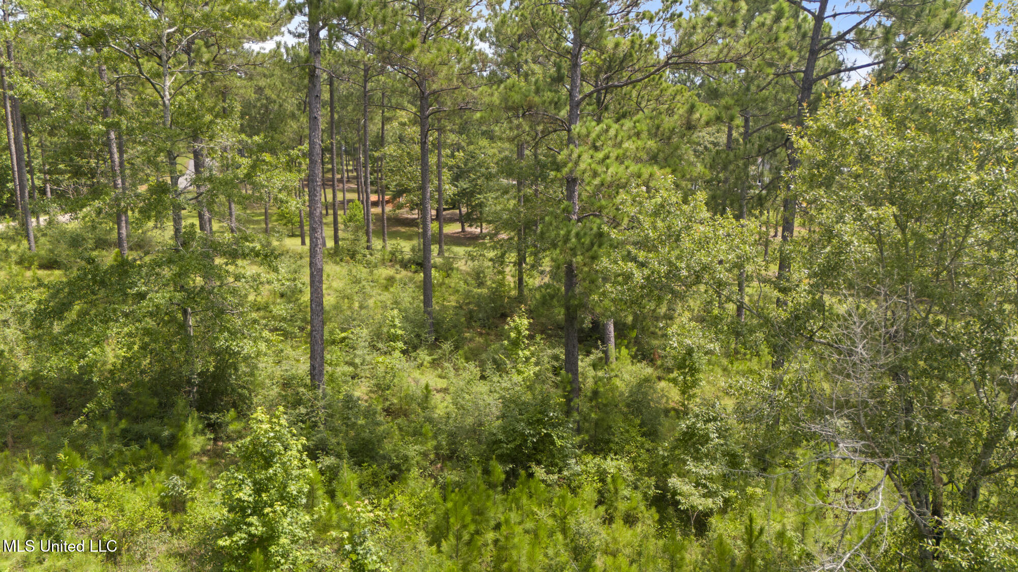 Burnt Pine Road Leakesville, MS 39451 - Photo 16 of 17 Lake property