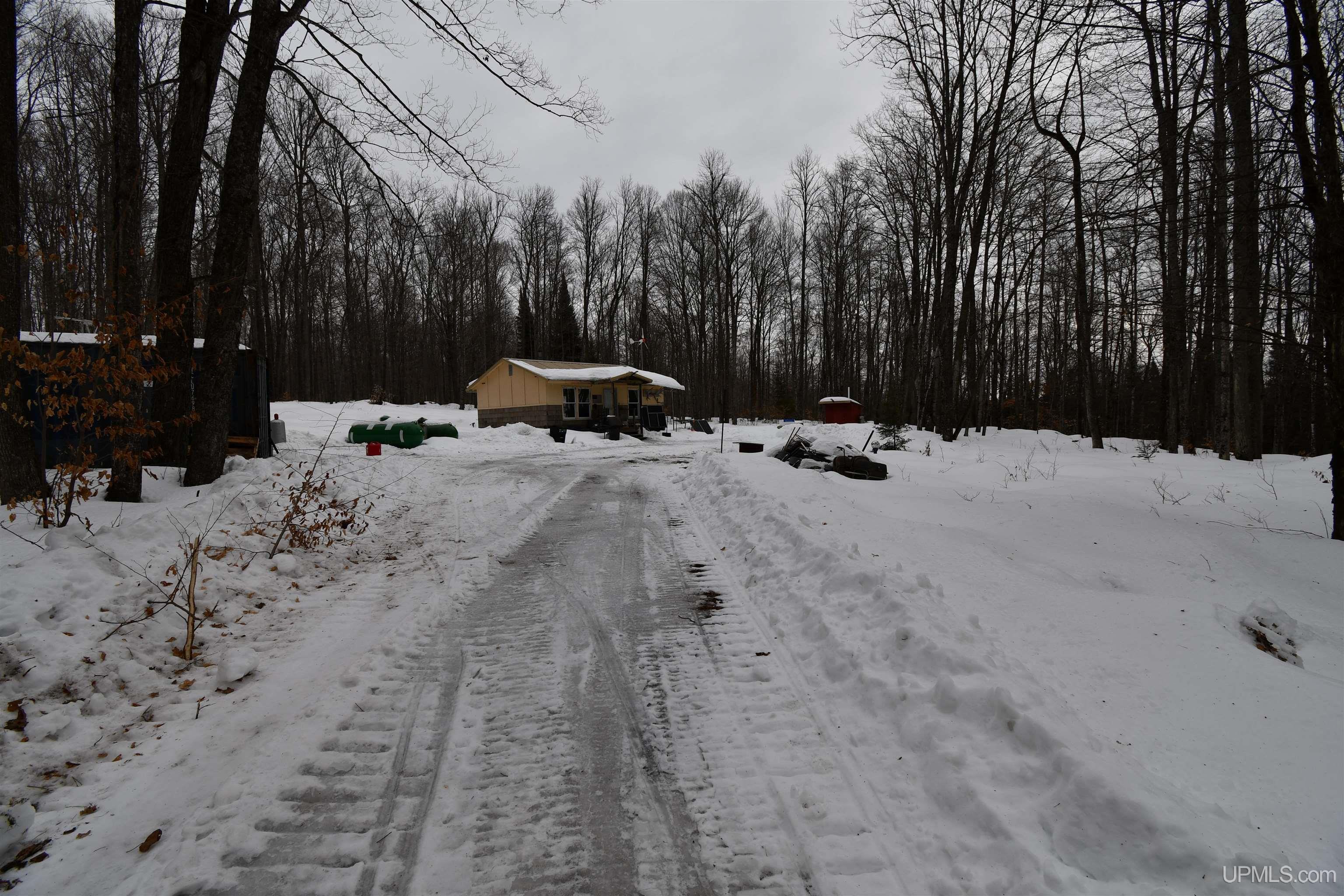 Tbd County Line Road Foster City, MI 49834 - Photo 6 of 56