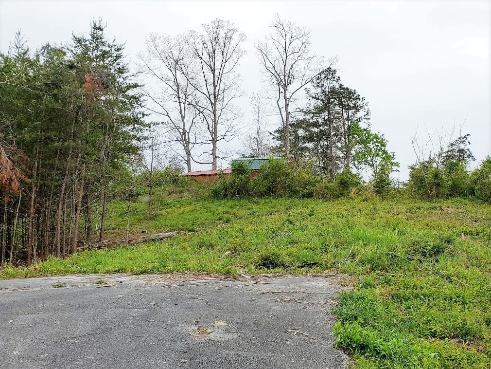 6061 Red Cedar Lane Sevierville, TN 37876 - Photo 1 of 9