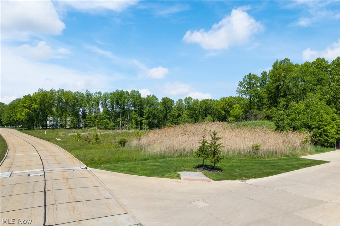 Clemens Road Westlake, OH 44145 - Photo 13 of 19
