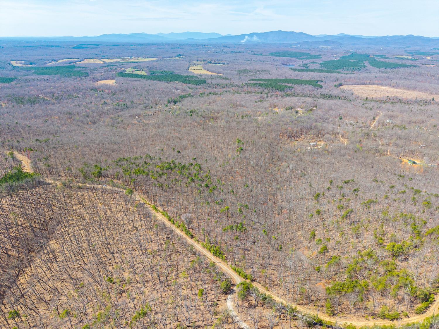 0 Larkin Mountain Road Amherst, VA 24521 - Photo 4 of 35