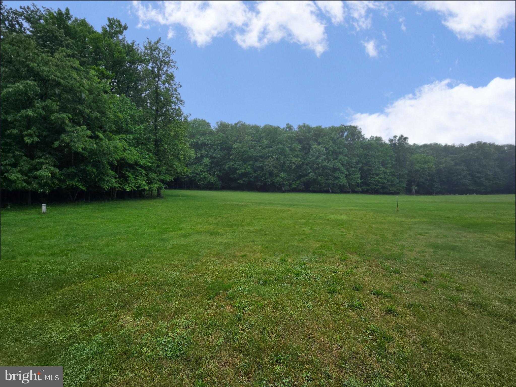 10328 Putman Road Frederick, MD 21702 - Photo 15 of 15 Backyard