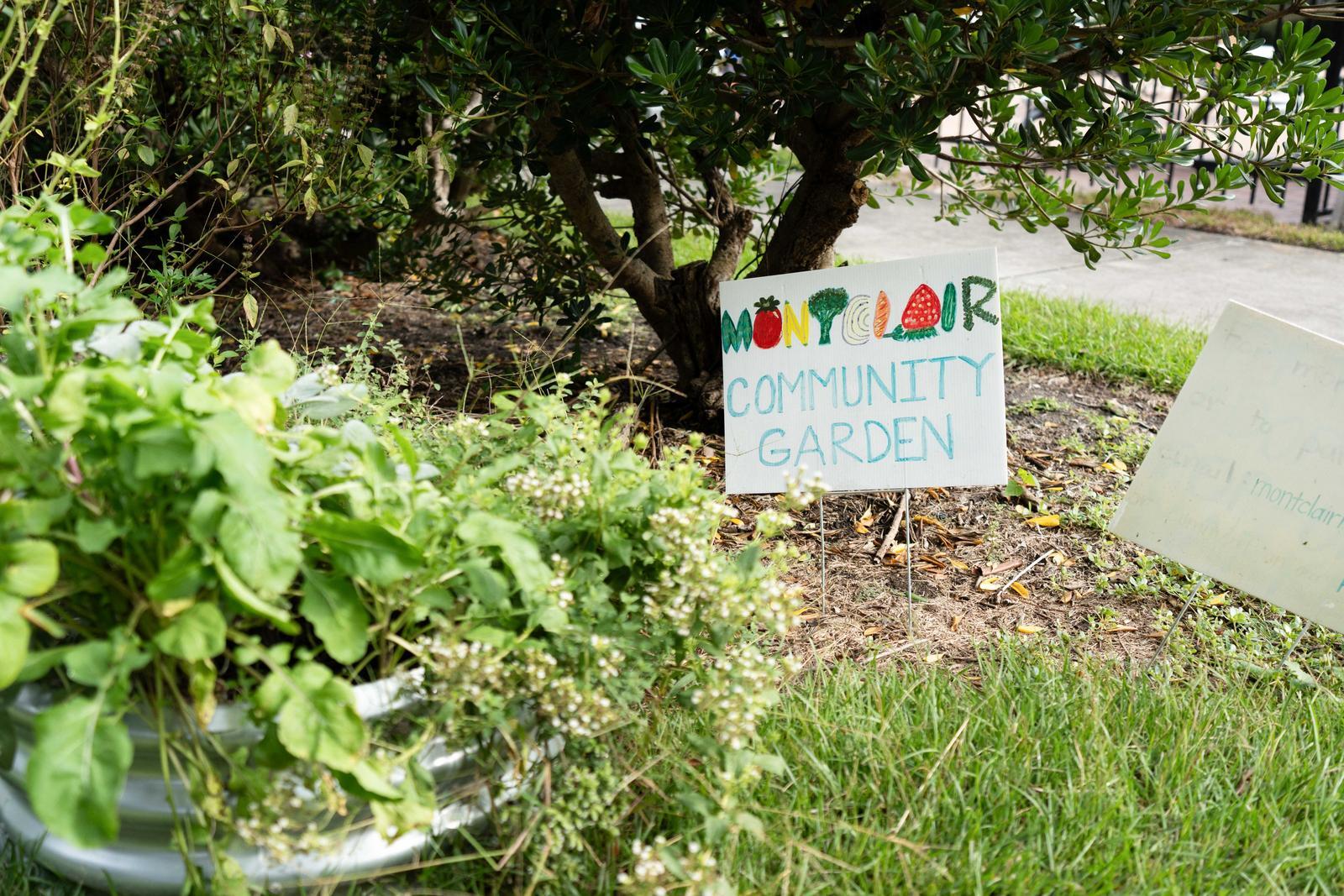 1840 Belle Chez Mount Pleasant, SC 29464 - Photo 55 of 63 Community Garden