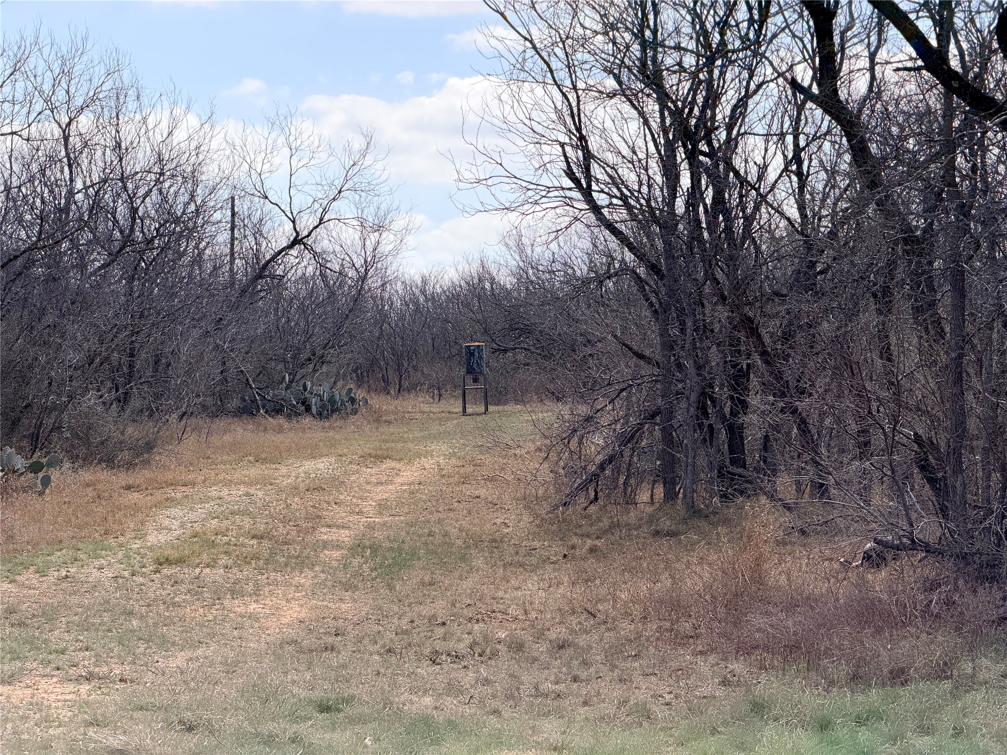 0 Fm 671 Luling, TX 78648 - Photo 19 of 26