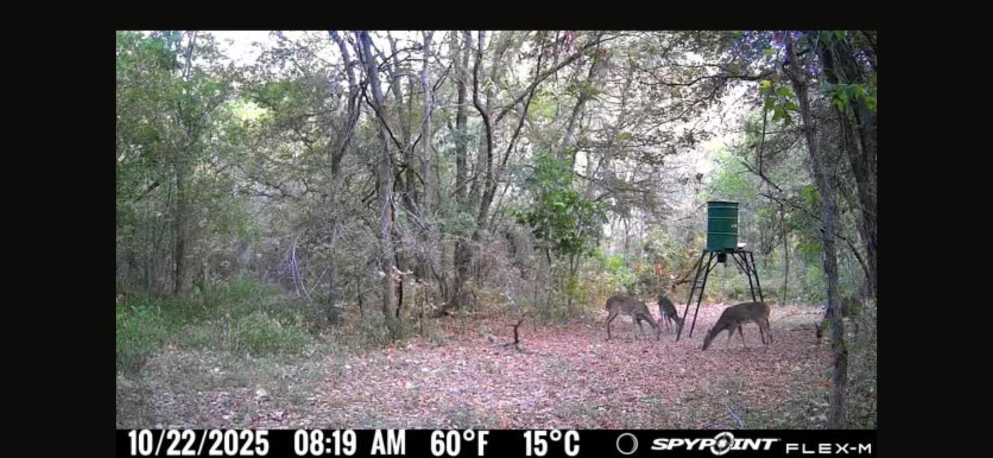 0 Fm 671 Luling, TX 78648 - Photo 22 of 26