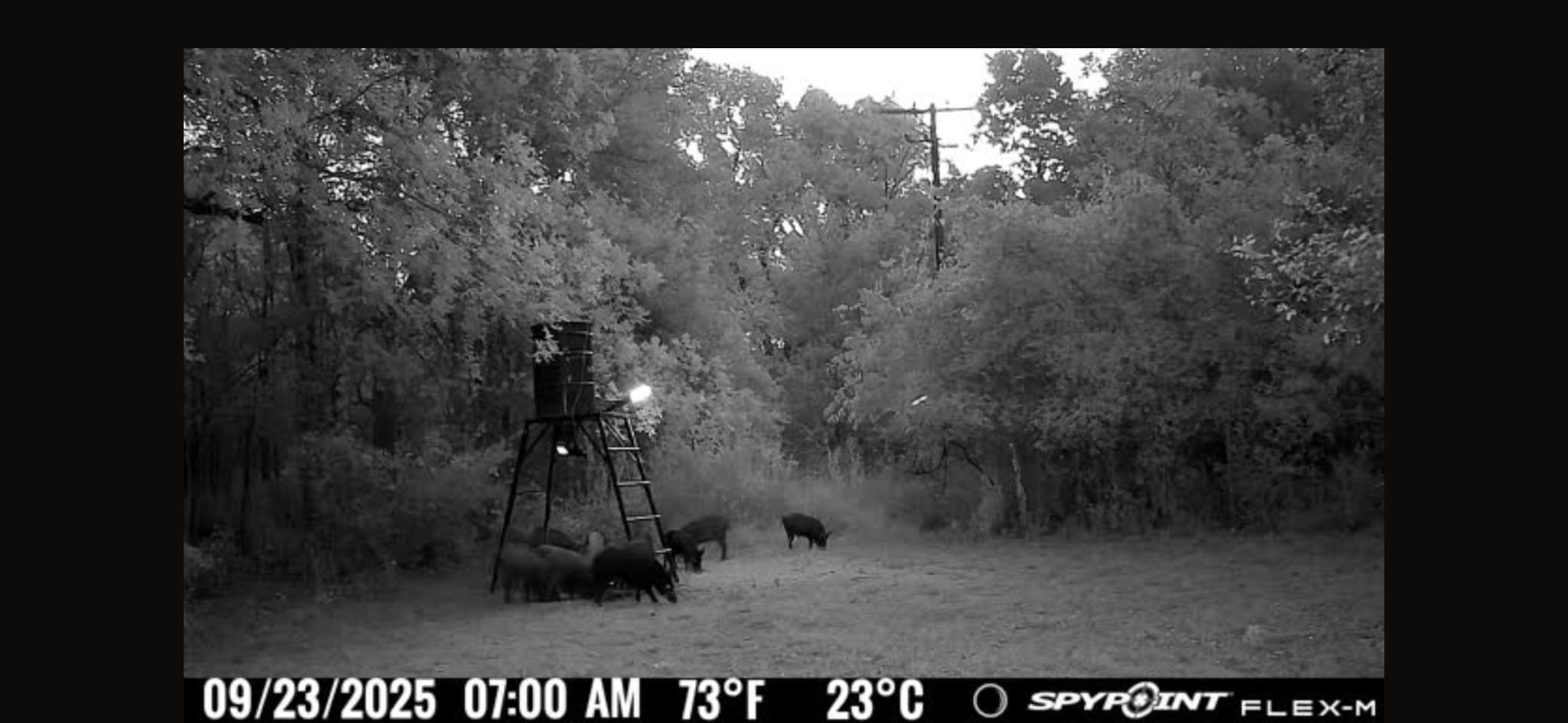 0 Fm 671 Luling, TX 78648 - Photo 23 of 26