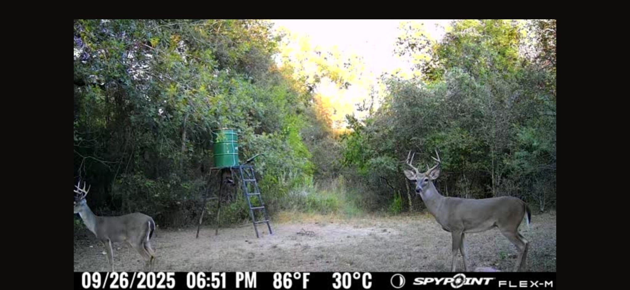 0 Fm 671 Luling, TX 78648 - Photo 24 of 26