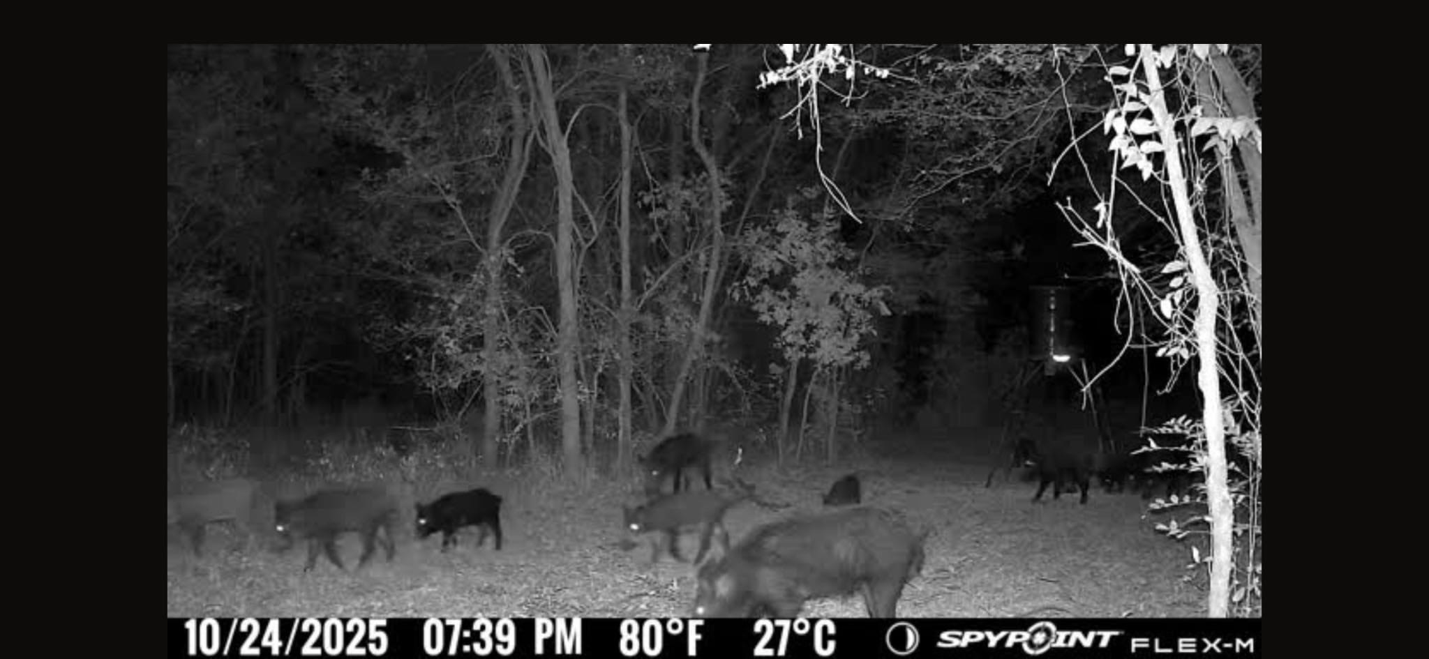 0 Fm 671 Luling, TX 78648 - Photo 25 of 26