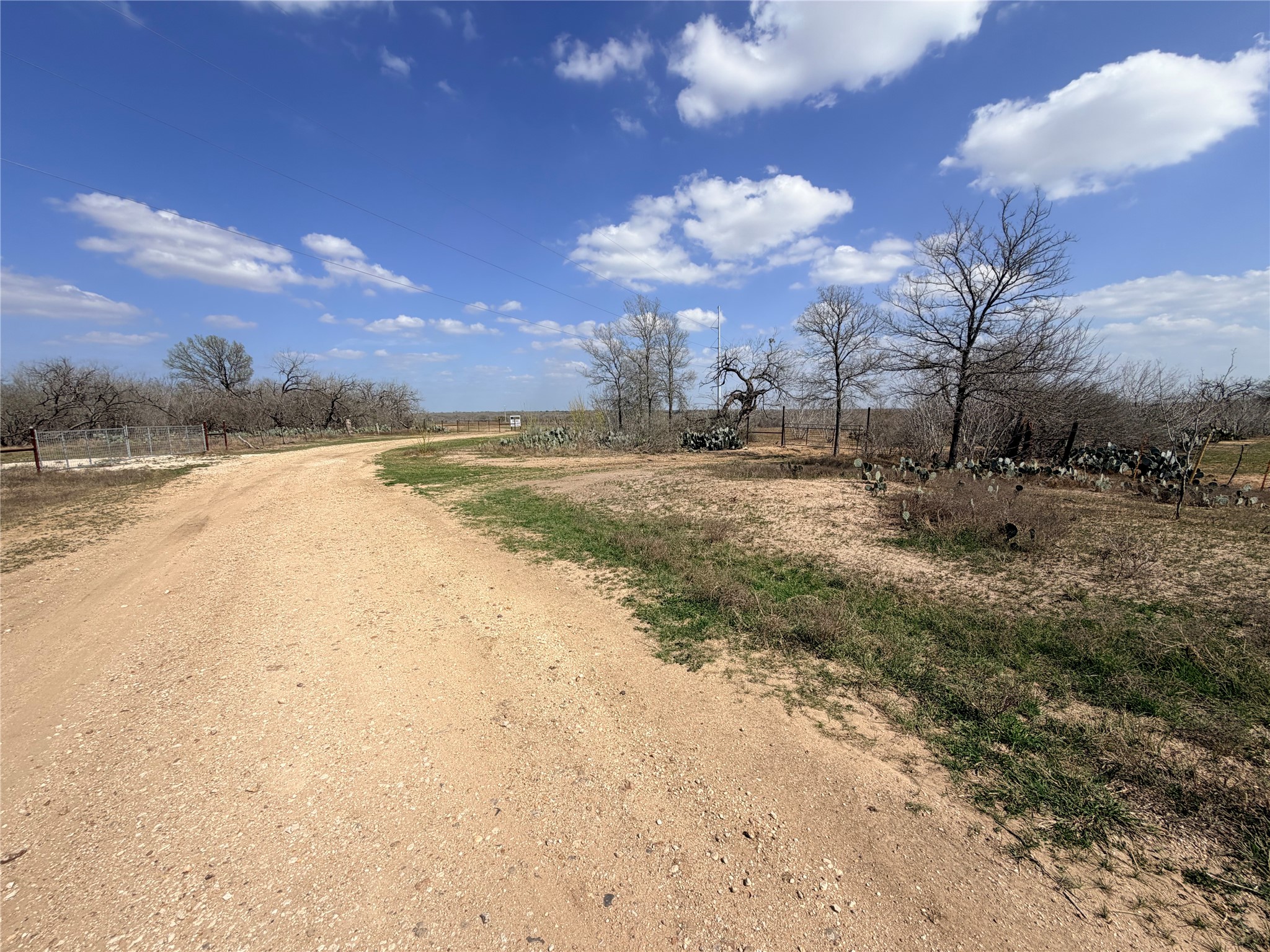 0 Fm 671 Luling, TX 78648 - Photo 5 of 26 Road before main entrance gate.