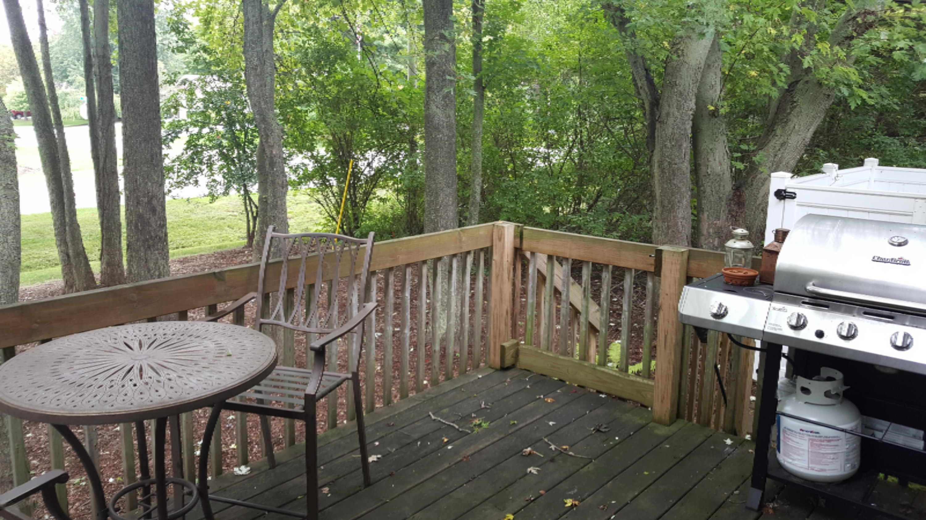 307 Wiley Road Douglas, MI 49408 - Photo 23 of 27 20161003_125907