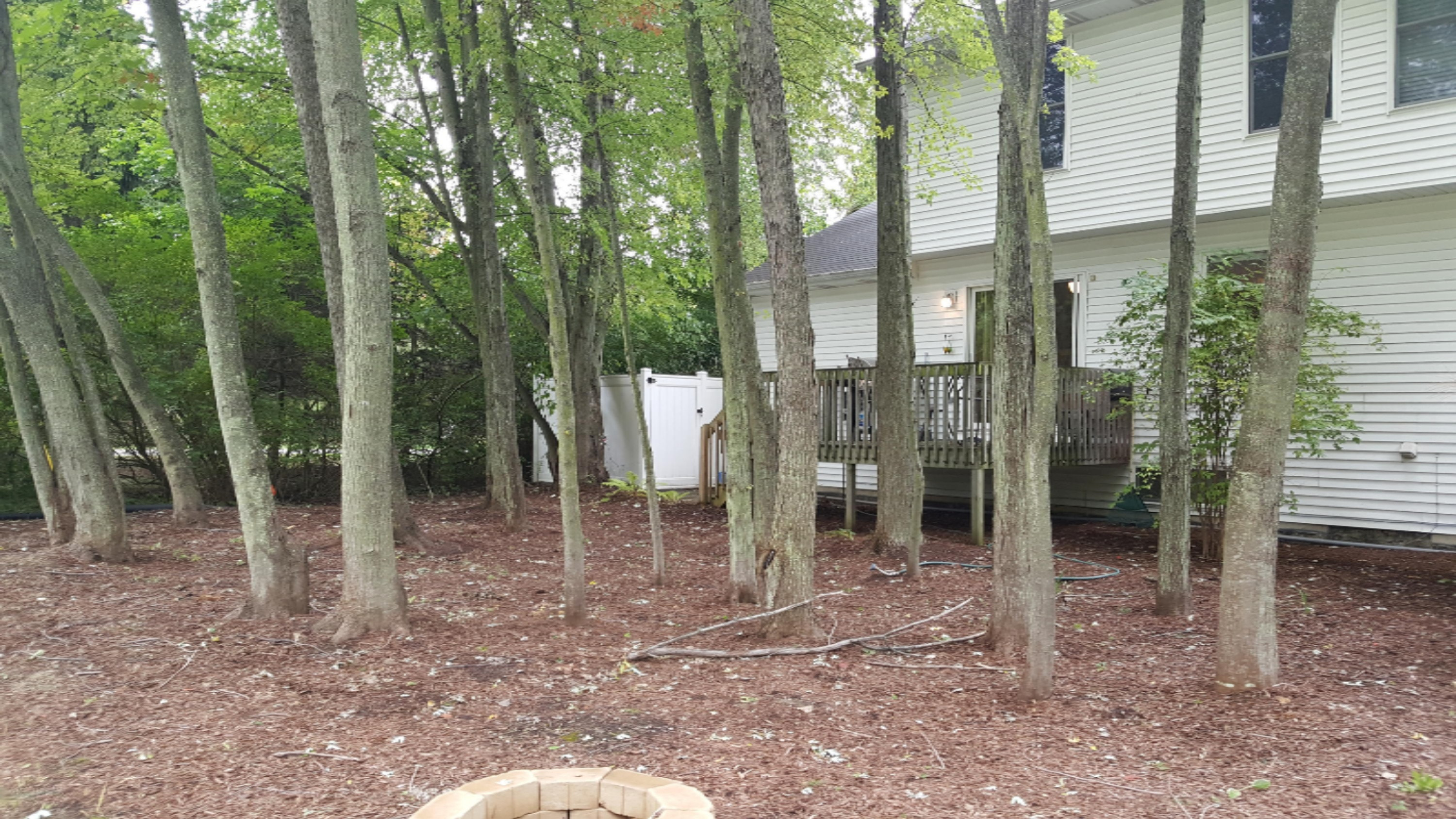 307 Wiley Road Douglas, MI 49408 - Photo 6 of 27 20161003_130037